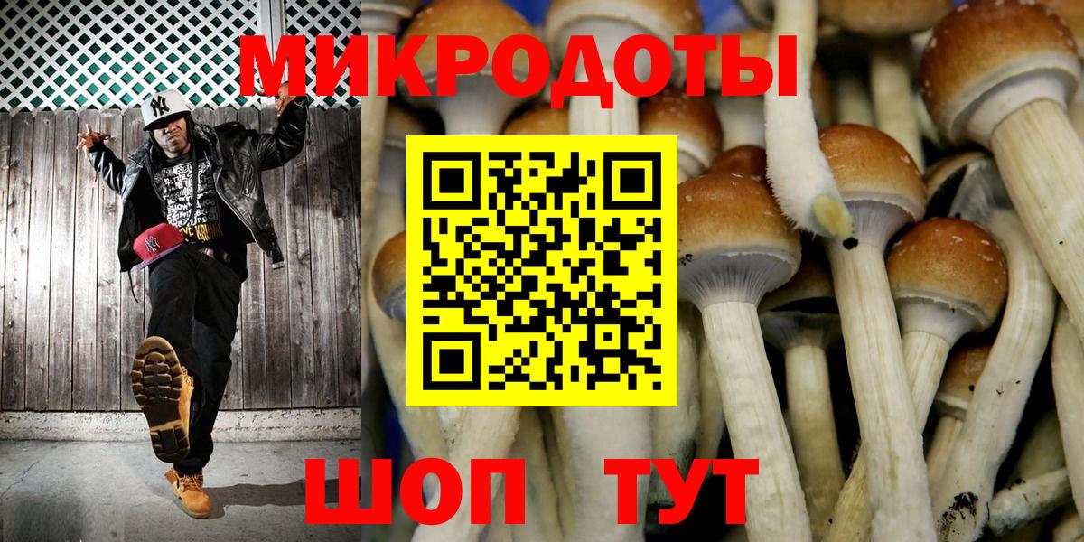 Звенигород  Псилоцибиновые грибы Cubensis  Вход с VPN 