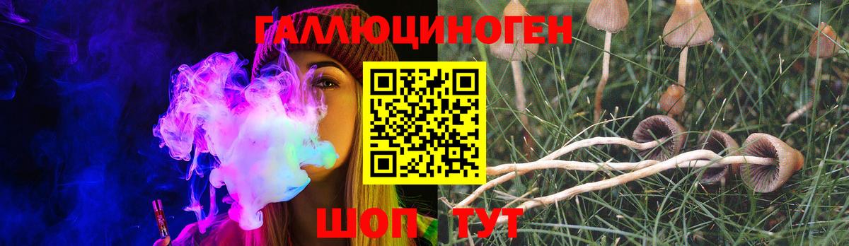 Галлюциногенные грибы Magic Shrooms Звенигород