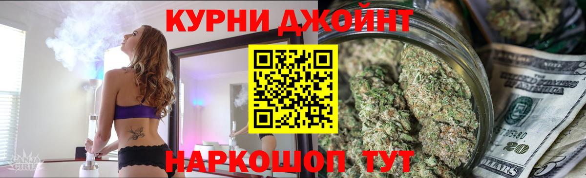 Каннабис сатива Звенигород